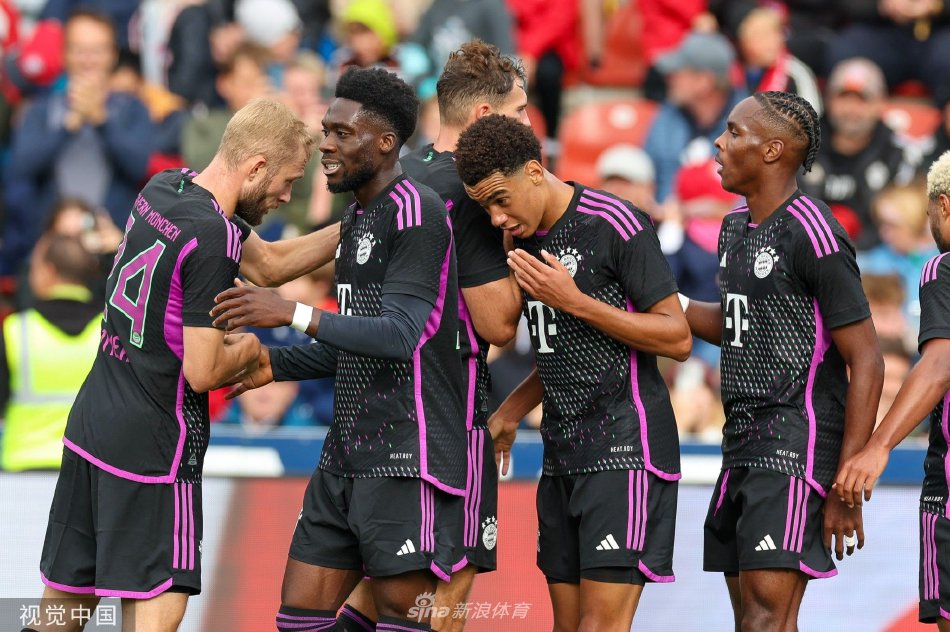 精心设计的 精心设计的