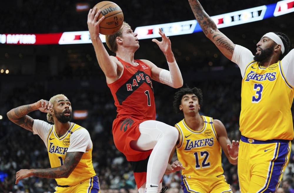 手塞尔塔 手塞尔塔